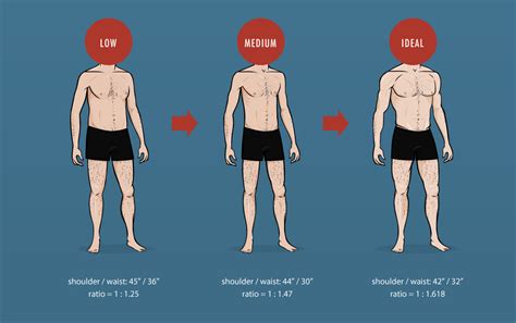 Subtract the person's torso length from his or her total <b>height</b>. . Shoulder to height ratio calculator